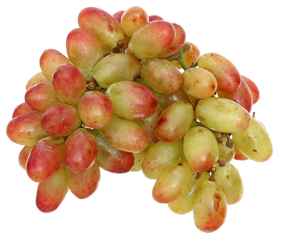 Nho Hồng Nhật