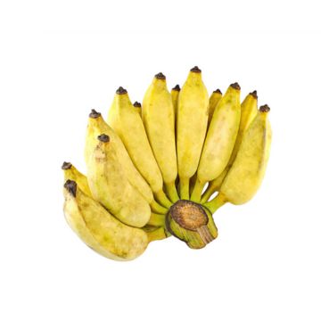 Chuối Sứ